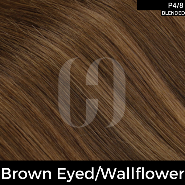 #color_brown-eyed-wallflower